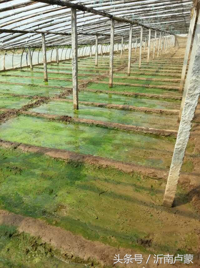 陈锋名师工作室,陈锋老师视频