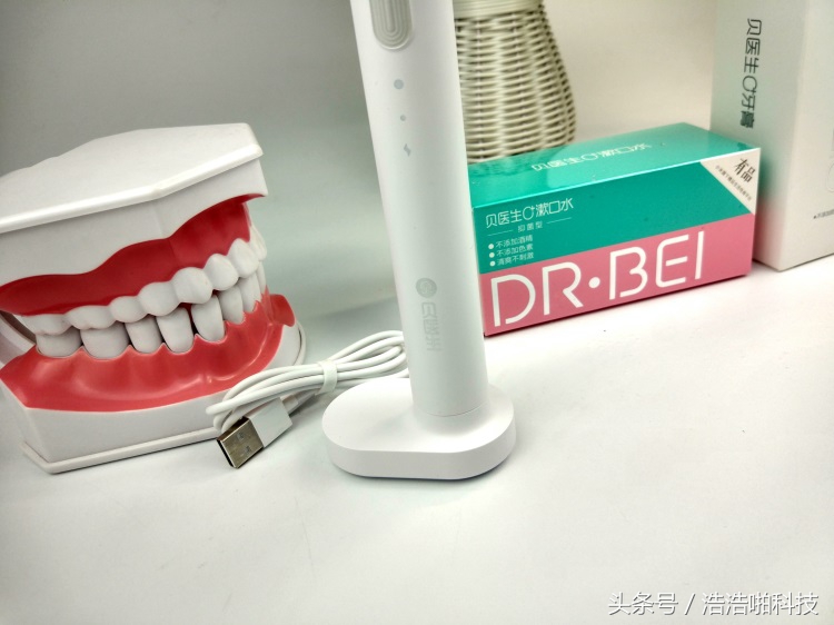 爱口腔第一步小贝陪你一起来