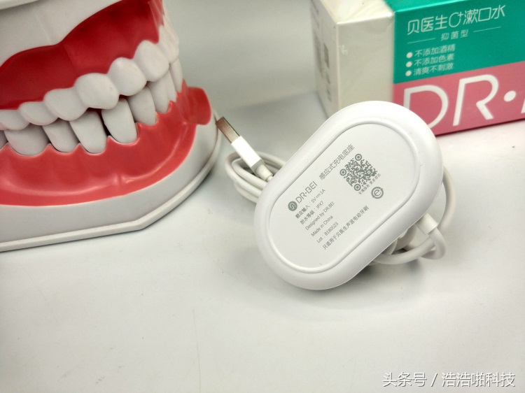 爱口腔第一步小贝陪你一起来