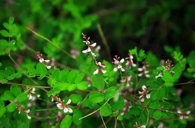 让人震撼的大自然景点,京西大山自然美景