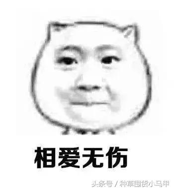 10块钱名创优品能买什么文具,10块钱以内的名创优品好物