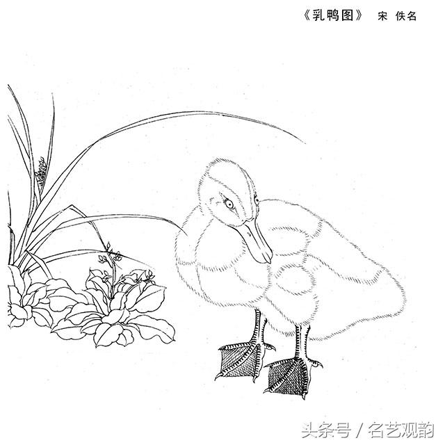 宋画工笔画底稿图文,宋画工笔白描最好的学习素材