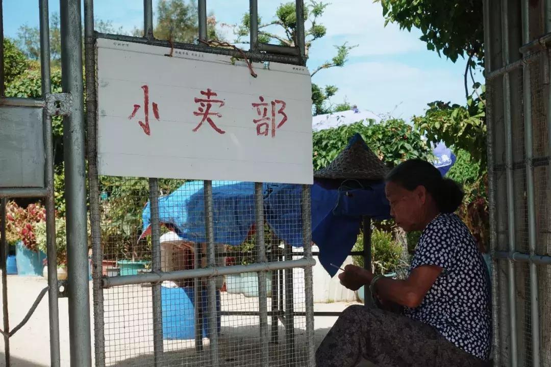 东山岛像浪漫的土耳其,东山岛在哪吃海鲜便宜又新鲜