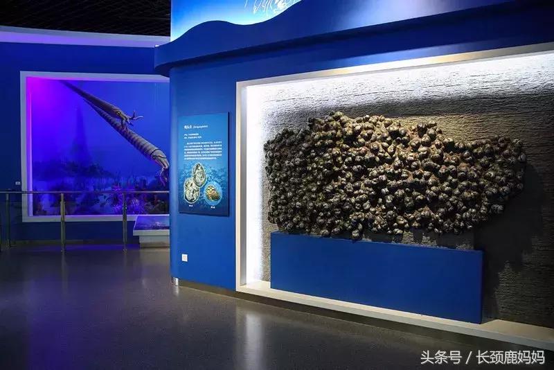 带孩子去北京不建议去哪,带孩子去北京没预约去哪玩