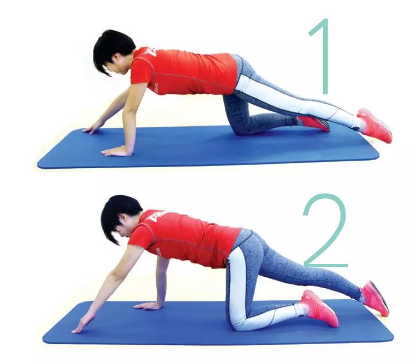 子宫下垂和腹直肌分离做什么运动,产后腹直肌分离子宫下垂怎么办