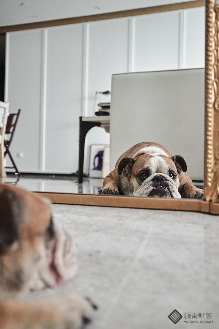 江景豪宅10万装出北欧风,北欧风刚需房设计