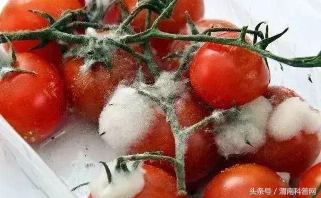 发霉食物伤肾、致癌，去掉坏的还能吃？