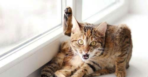 一位教授给孩子批改作业,一个老师给学生发试卷