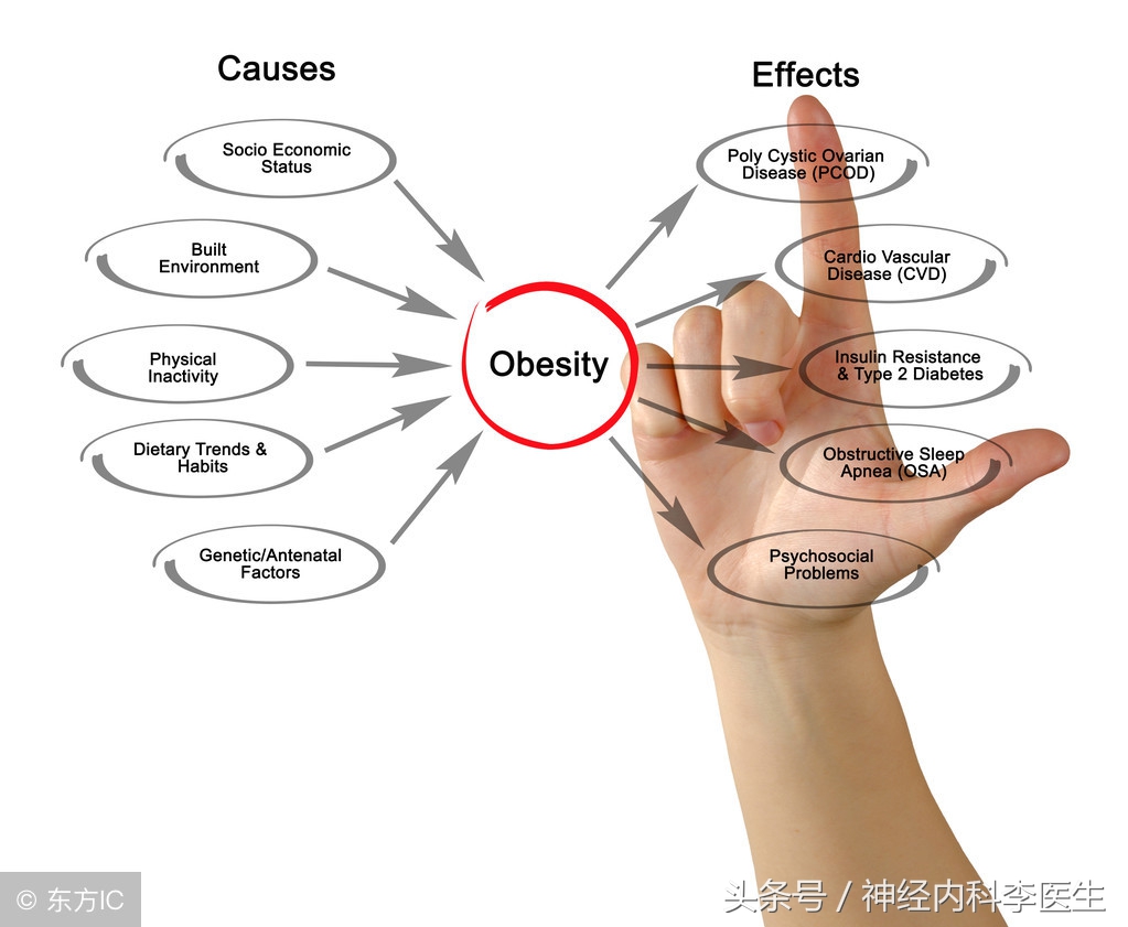 李医生说执业医师考试,「考点总结」生理学篇(二)