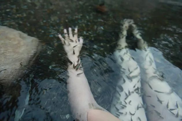 梅好闽清,闽清夏天避暑最佳旅游地