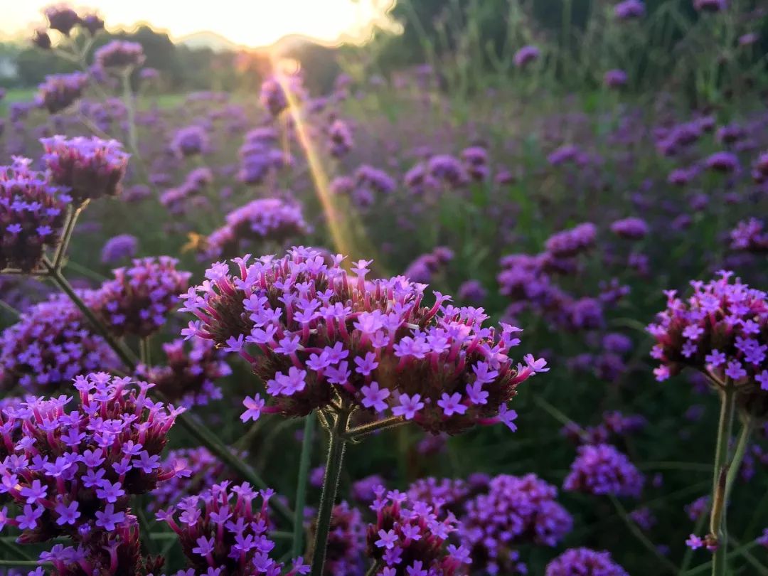 在路上迷人的风景,在路上的美景