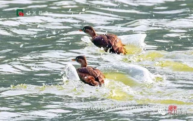 上林美丽风景图,上林美景爆款