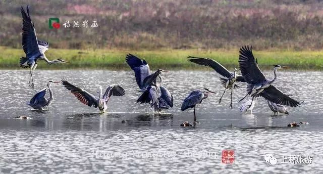 上林美丽风景图,上林美景爆款