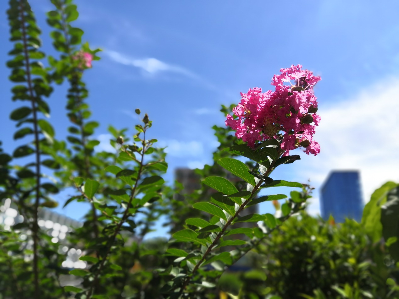 荣耀note10缺点和不足,荣耀note10的缺点是什么