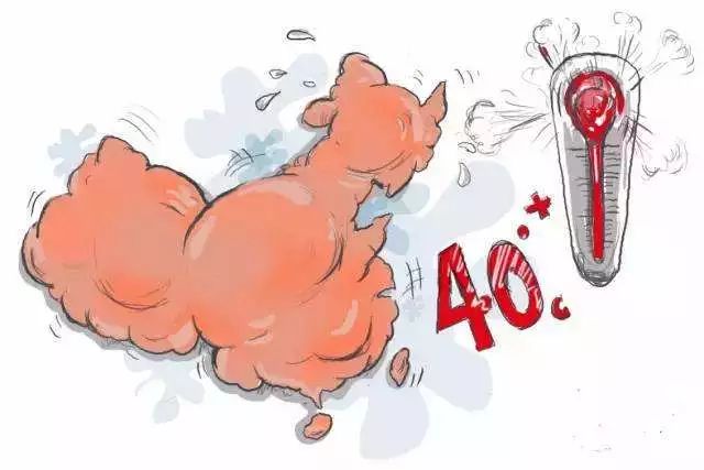 天热了,腰椎病却犯了!夏季腰椎间盘突出频发,该怎么办?