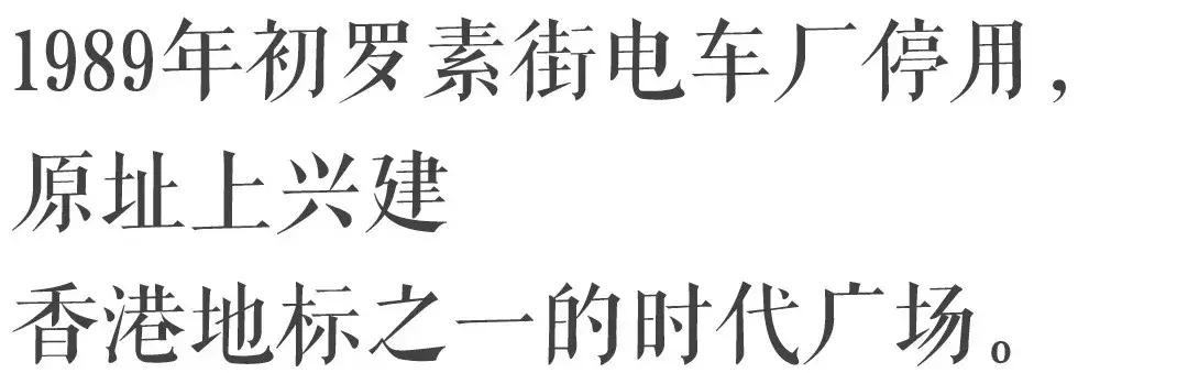 香港—连鸽子都已经习惯了“叮叮车”的节奏