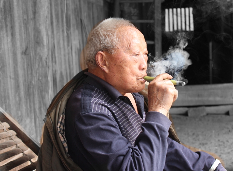 属狗的人长寿吗,属狗的能长命百岁吗