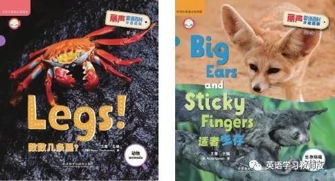 侯云洁周芳|绘本如何与小学课程融合?有哪些原则和方法?