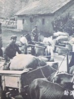 大益普洱茶砖勐海茶厂,90年代普洱茶熟茶的历史