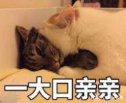 适合学生党小白的平价护肤品,推荐学生党护肤品百元以内