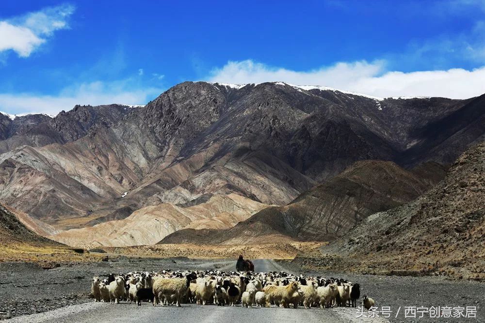 青海为什么频繁发生地震,青海人为什么长得好看