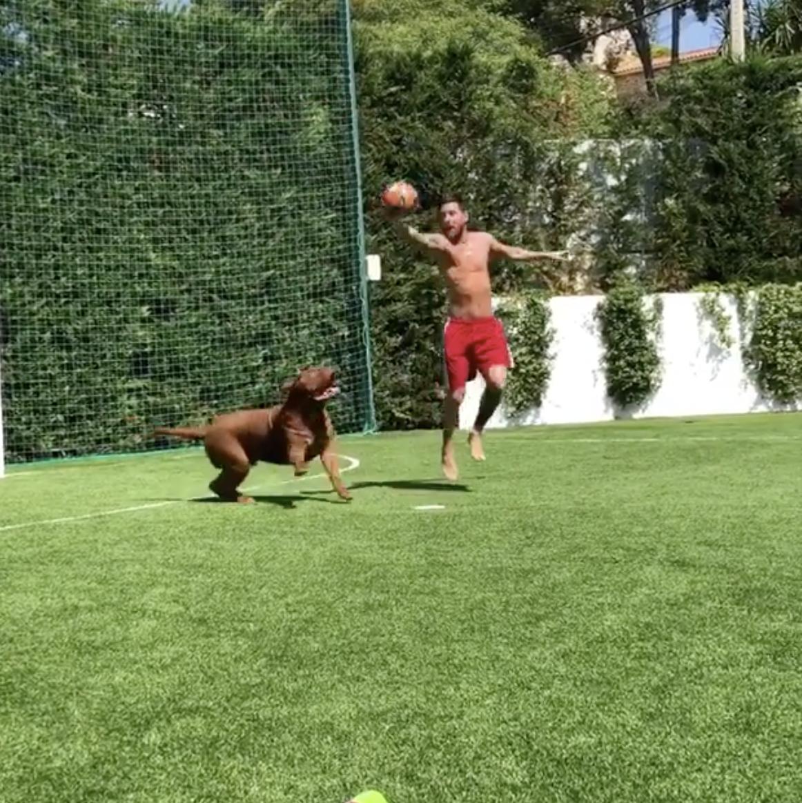 梅西遛狗式过人,梅西溜金毛