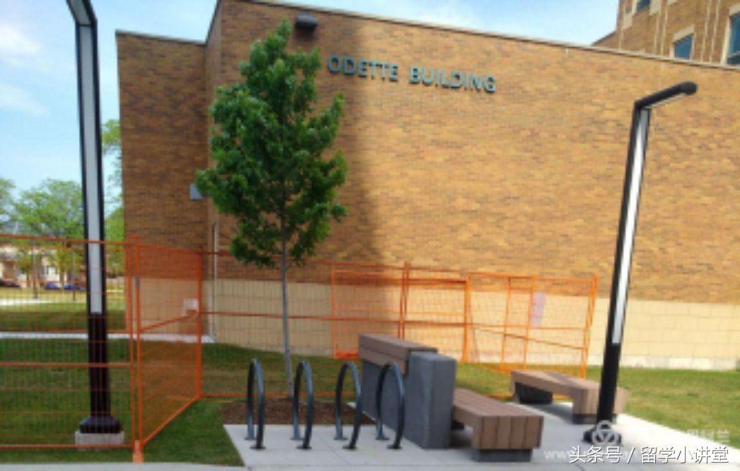 在加拿大生活真的非常舒服,加拿大纳奈莫生活体验