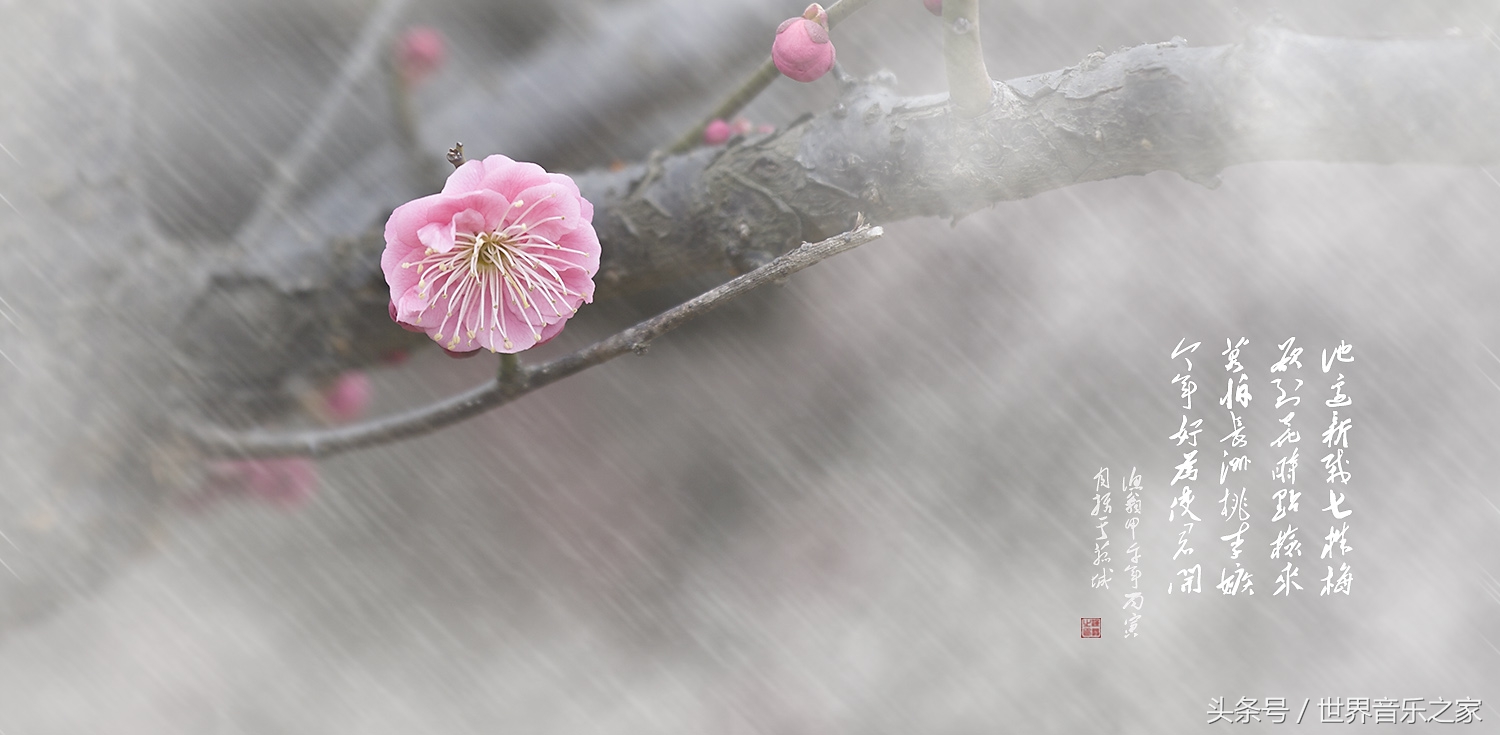 中国十大名曲经典欣赏,最新中国十大名曲