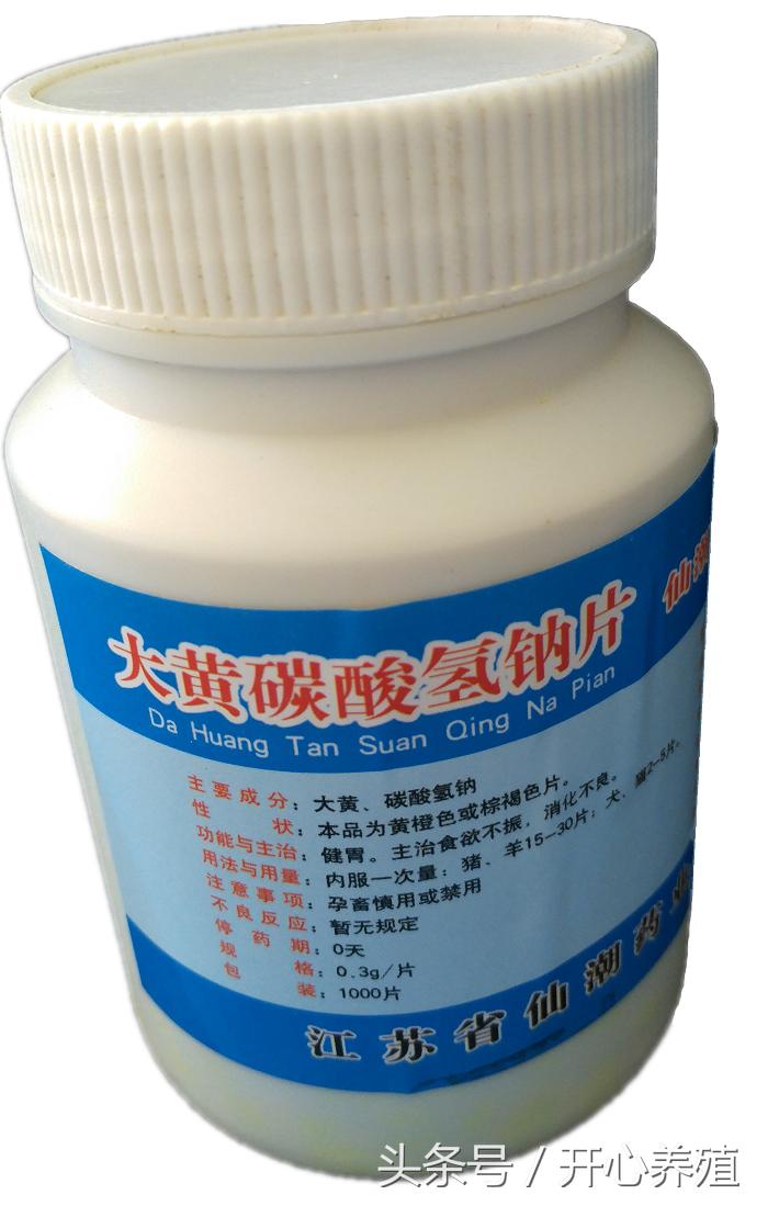 羔羊胀气用什么药,野外放牧羊胀气最快去除的方法