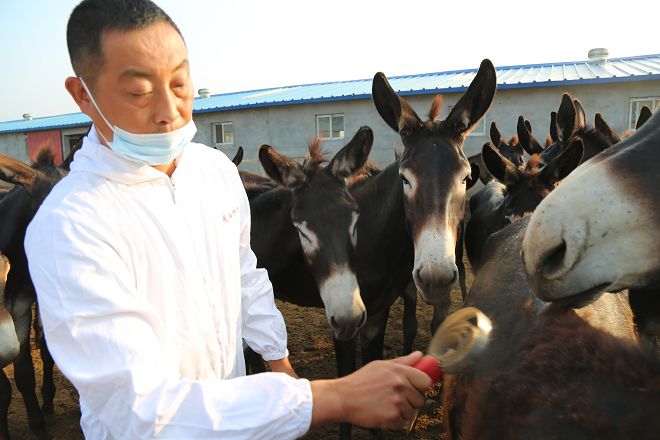 结对帮扶心连心脱贫攻坚,开展精准扶贫结对帮扶活动