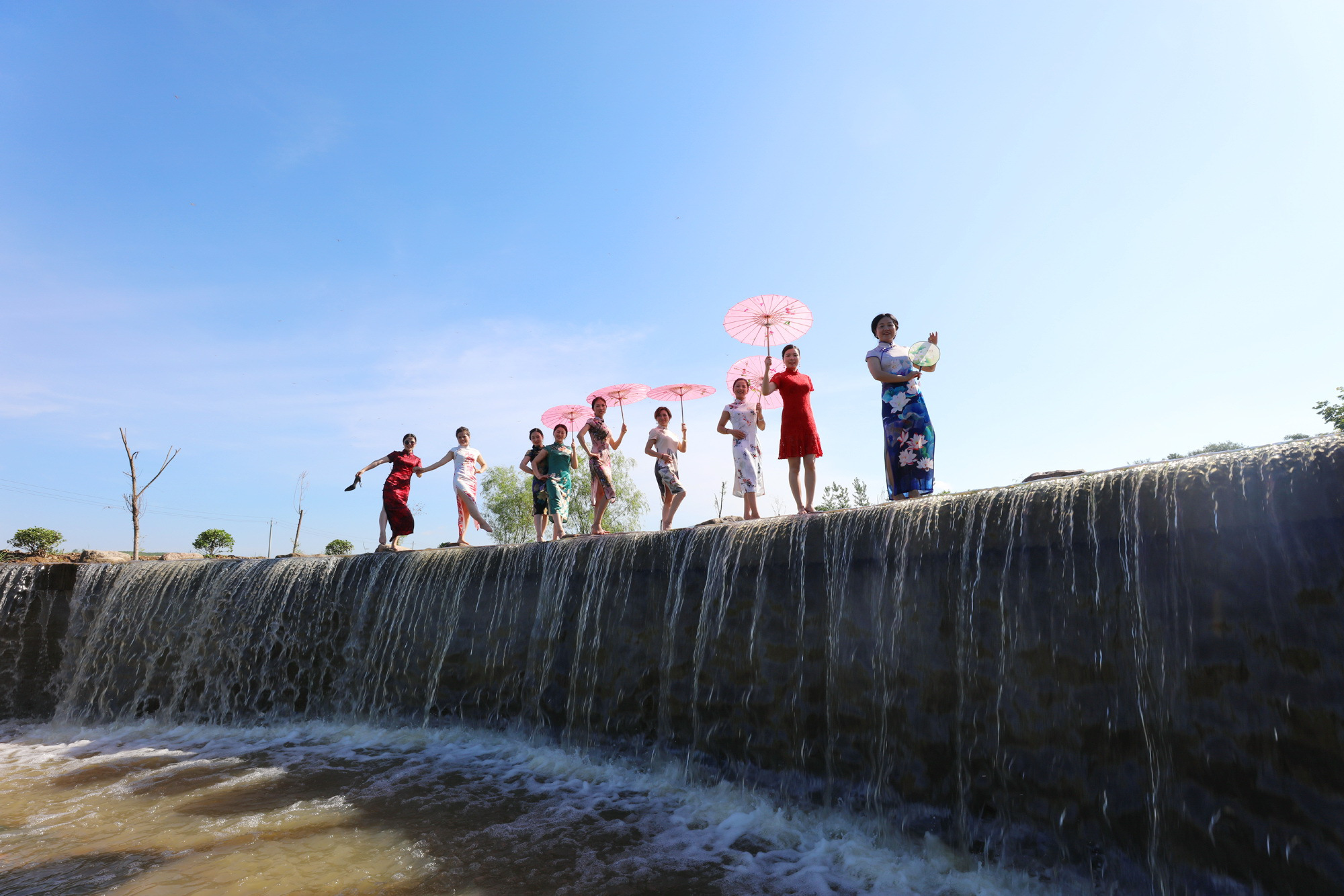 这个夏天的荷花太美了,这个夏天的荷花