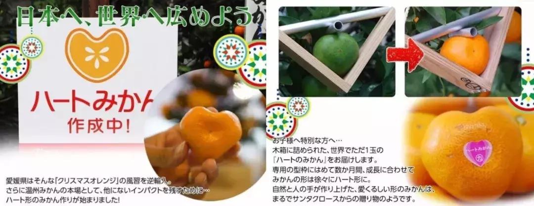 日本车牌变迁,日本2020年经典车牌