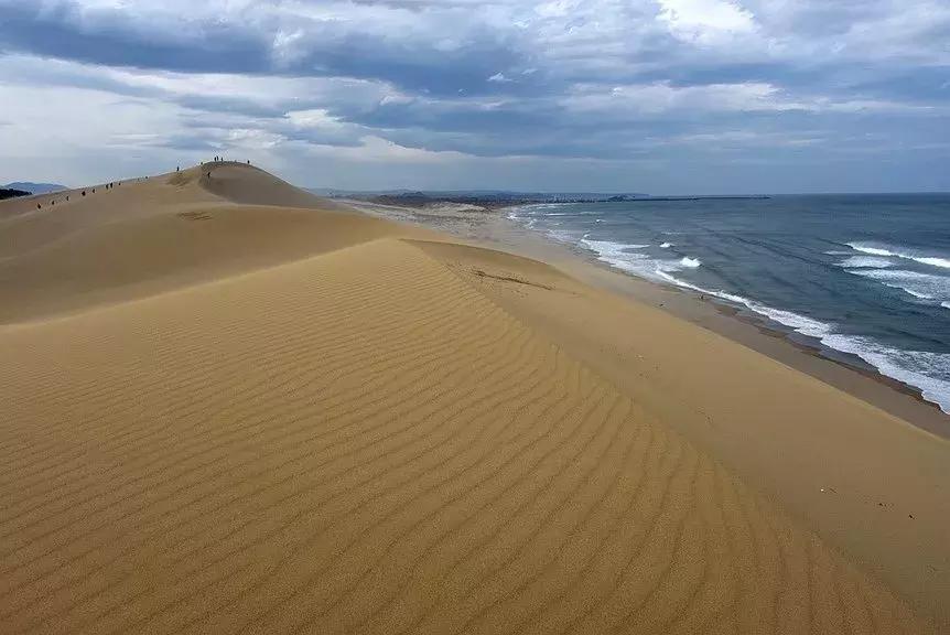 日本车牌变迁,日本2020年经典车牌