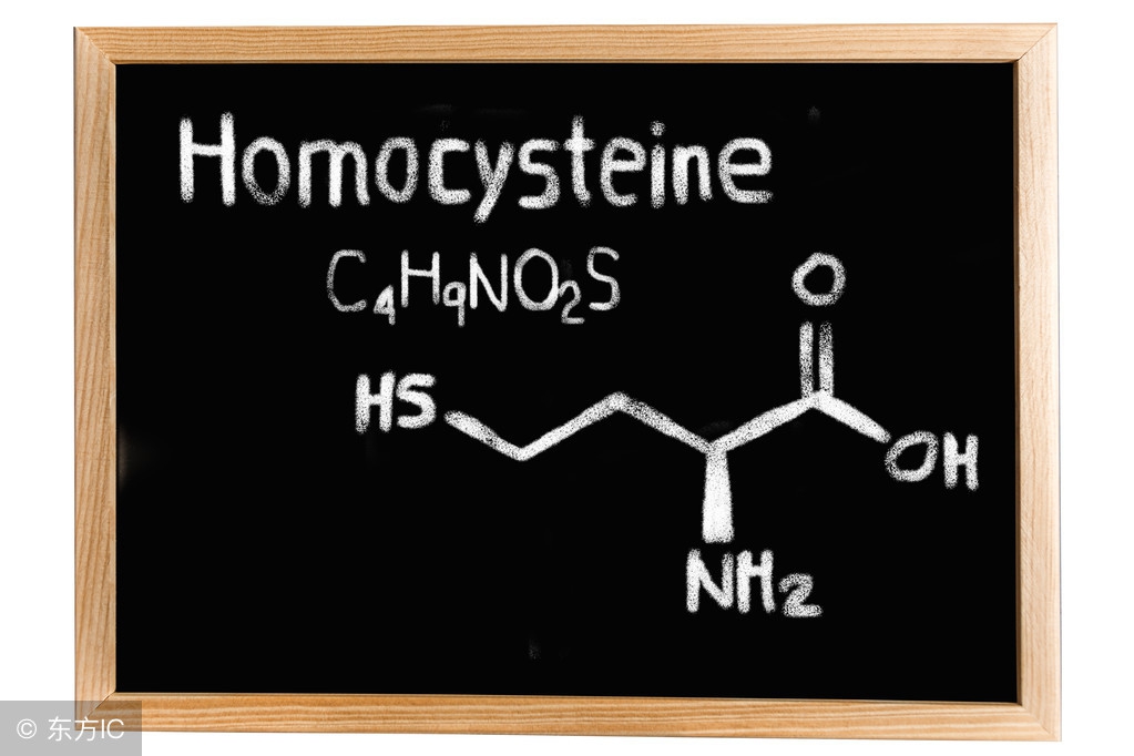 同型半胱氨酸升高有什么危害,同型半胱氨酸高注意心脑血管疾病