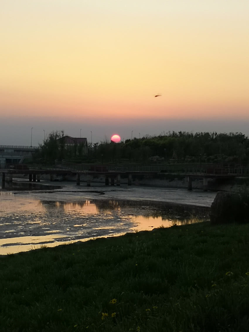 青岛除了海边哪个地方风景好,青岛后海旅游景点推荐