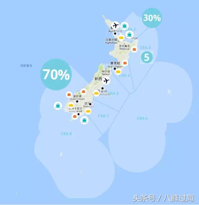 新西兰红色岩龙虾,新西兰岩龙虾介绍