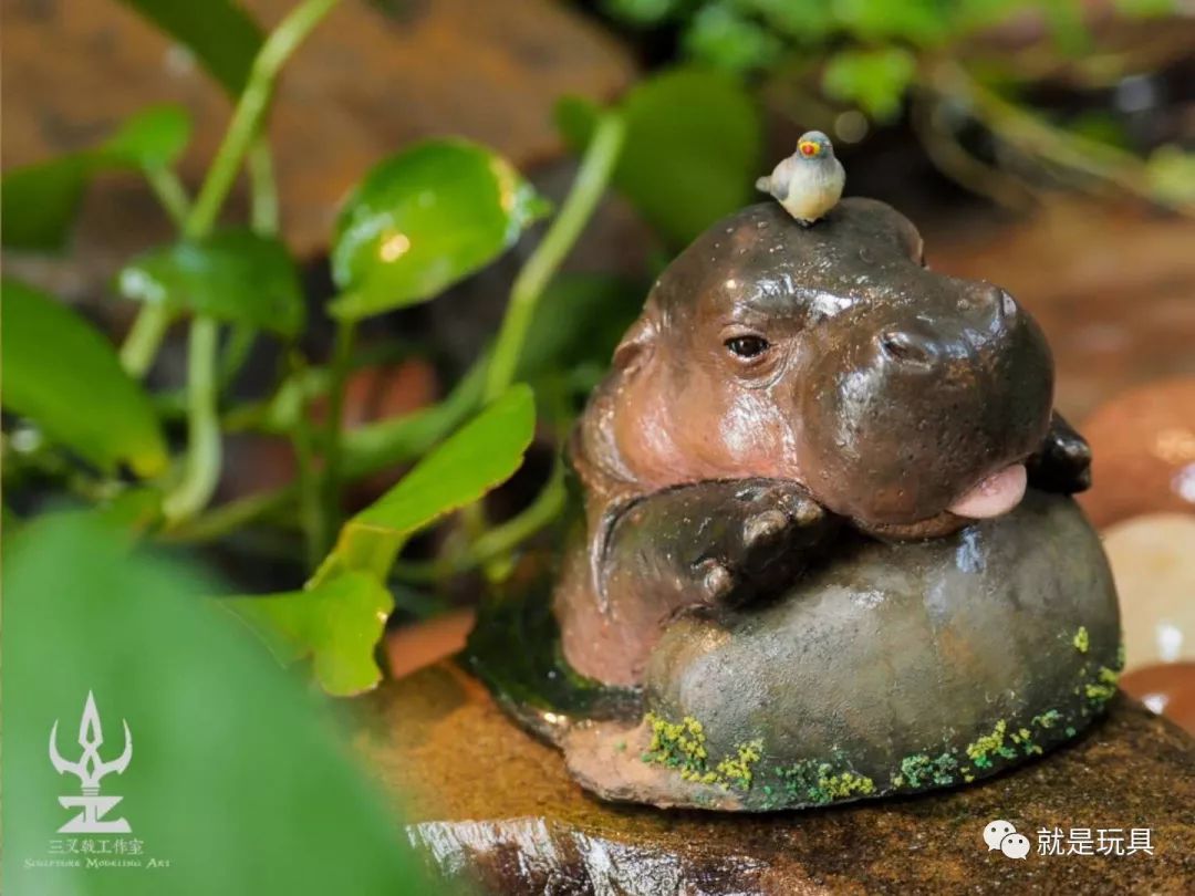 这只网红河马比你家喵星人都可爱!