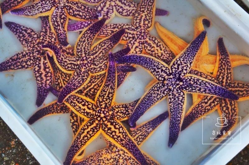 暑期去山东龙口,拍ins风网红大片,看没有游客蔚蓝大海!