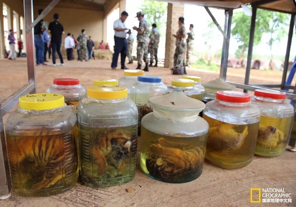 “谢谢你们，我们终于快死光了”