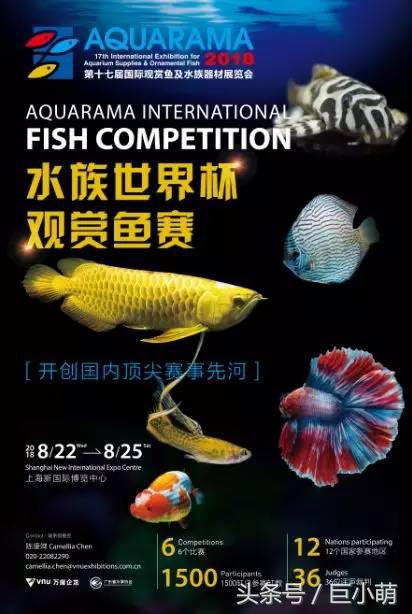 2024中国最大的宠物展,国际宠物展亚洲宠物展