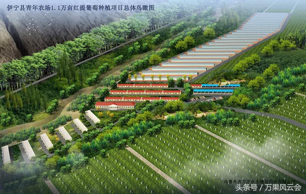 55元一斤的水果有哪些,5-6元一斤的水果有哪些