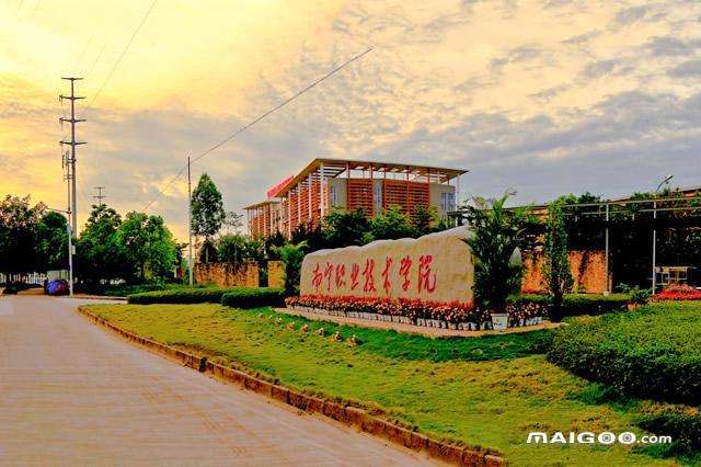 广西专科院校前十排名,广西专科院校前十名排名