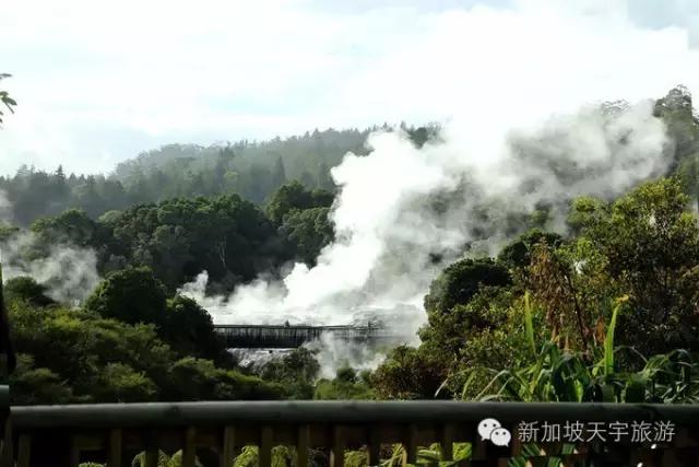 新西兰纯净之旅,10天时间旅游攻略