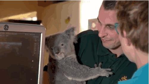 这个冬天让我们相约南半球的澳洲,旅行我的澳洲之旅