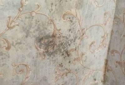 墙纸容易脏怎么办,墙上乱涂乱画用墙纸翻新