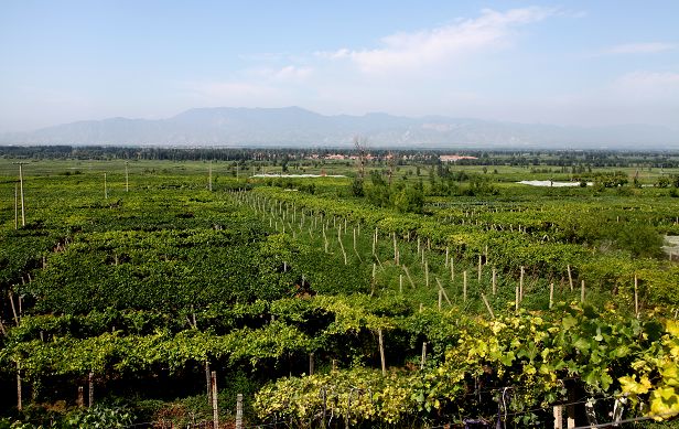 结对帮扶心连心脱贫攻坚,开展精准扶贫结对帮扶活动