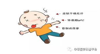 炎炎夏日如何远离蚊虫叮咬之苦,炎炎夏日很容易中暑