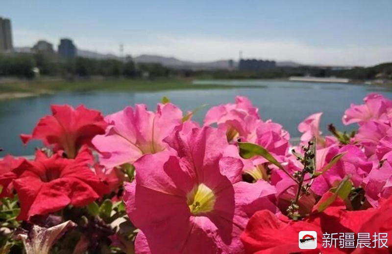 乌鲁木齐暑假亲子游玩推荐,乌鲁木齐适合亲子游的地方