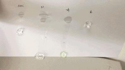 人手一罐的自然乐园芦荟胶，我很怀疑里面到底有没有芦荟！