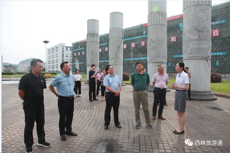 河南省专家组,国家卫健委专家组到郸城调研